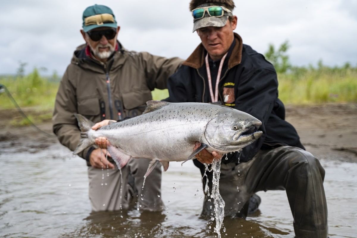 King Salmon on the FLY in Alaska! 